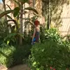 erin_chivers - @erin_chivers - TikTok