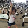 Erin Cho - @erincho5 - TikTok