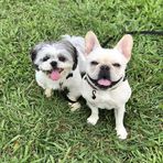 Erin Chow - Facebook