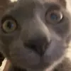 erin claire - @emoneyspam420 - TikTok