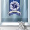 Erin Cress550 - @diamondsintheruffpups - TikTok