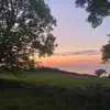 erin - @erin.davies.x - TikTok