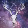 deergoditserin - @deergoditserin - TikTok