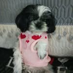 Catherine Degroote - @degrootecatherine8 - Instagram
