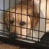 ERIN DEJONG - @erindejong - TikTok