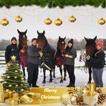Erin Denney - @individual_equine - Instagram