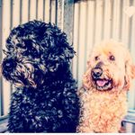 Erin Denney - @the.g00d.b0ys - Instagram