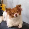 Erin Dewitt - @erin.dewitt8 - TikTok