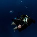 Erin Dickerson : FSP - @foundstrawphotography - Instagram
