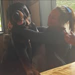 Erin Daugherty Dobbs - @daughertydobbs - Instagram