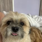 erin dobbs - @d06662 - Instagram
