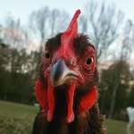 Erin Doolittle - @the.doolittles - Instagram