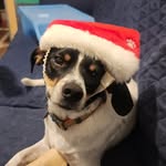 Erin Dorey - @candid_cuddler - Instagram