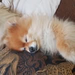 Erin Dorey - @dorey7803 - Instagram
