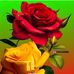 Dar Aryaan - Facebook