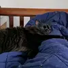 erindunlap160 - @erindunlap160 - TikTok