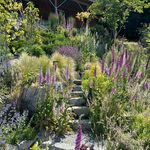 Erin Dutton - @erinduttondesign - Instagram