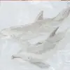erin ! - @erinslimesau - TikTok