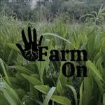 Erin Eckler-Horticulturalist & Organic Farmer - @farm_on_ottawa - Instagram