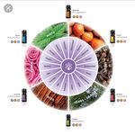 Erin Ferrell - @lovelifeofoils - Instagram