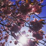 Erin Fielding - @erinfielding_photography - Instagram