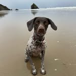 Erin Findley Hanson - @erinfindleyhanson - Instagram