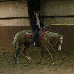 Erin Frederick Sharts - @horsetrainingprobs - Instagram