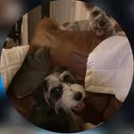 Erin Frederickson - @erinfred69_ - Instagram