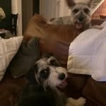 Erin Frederickson - @erin_frederickson - Instagram