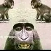 eringeldi1 - @eringeldicomu - TikTok