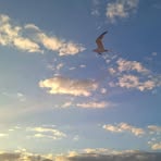 Erin Germann - Facebook