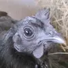 Erinn Glover - @erinn.glover - TikTok