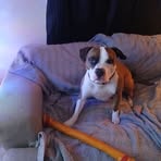 Erin Gadd - Facebook