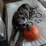 Erin Goldstein (Weickhardt) - @eringoldsteinweickhardt6007 - Instagram