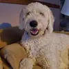 eringrimm973 - @eringrimm973 - TikTok