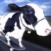 erin - @erin.guyy_ - TikTok