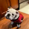 Erin Guy778 - @erinkguy - TikTok
