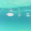 erin guy - @erin.guy3 - TikTok
