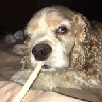 Erin Dean Hammonds - @jefferinmax - Instagram