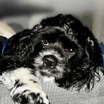 Erin Dean Hammonds - Facebook