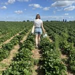 Erin Hedges - @erinh3502 - Instagram