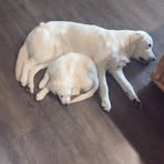 Erin Hedman - Facebook