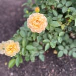 Erin Henze - @erin_n_henze - Instagram
