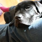 Erin Hook Schaap - @erinhookschaap - Instagram