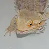 Erin Howell(s) - @erin.howells45 - TikTok
