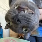 Erin - @erin_howes - Instagram