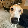 Erin Howes - @erin.howes4 - TikTok