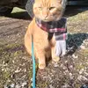 Erin Howes lil cra cra - @erin.howes.lil.cr - TikTok