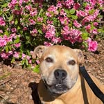 Erin Huggins Milgram - @erin_milgram - Instagram