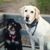 Erin Hull - Facebook